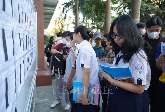 Ảnh minh họa: Thu Hoài/TTXVN