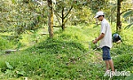 Bài cuối: Hướng đến sản xuất bền vững