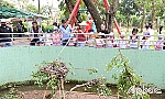 Tiền Giang có 6 điểm du lịch đạt chứng nhận OCOP