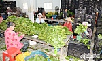 Tiền Giang: Phát triển hợp tác xã nông nghiệp gắn với xây dựng nông thôn mới và Chương trình OCOP