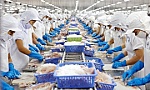 ADB: Kinh tế Việt Nam gia tăng sức mạnh trước những thách thức toàn cầu