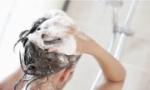 Bộ Y tế thu hồi lô dầu gội dược liệu sạch chấy Aladin của Công ty cổ phần Sao Thái Dương