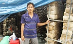 Khá lên nhờ trồng nấm bào ngư