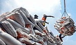 Việt Nam có thể xuất khẩu sang Philippines khoảng 4,3 triệu tấn gạo