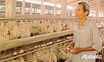 Chuyện về hai cựu chiến binh làm kinh tế giỏi