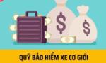 Phối hợp, hỗ trợ tuyên truyền và thông tin nhằm triển khai hoạt động hỗ trợ nhân đạo của Quỹ bảo hiểm xe cơ giới