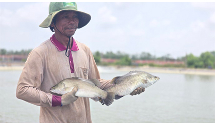 Đồng bằng sông Cửu Long vẫn 