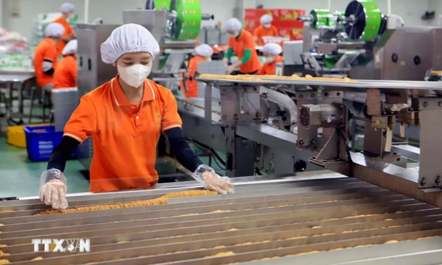 Nhận diện các luận điệu xuyên tạc chủ trương của Đảng về kinh tế tư nhân trong giai đoạn phát triển mới