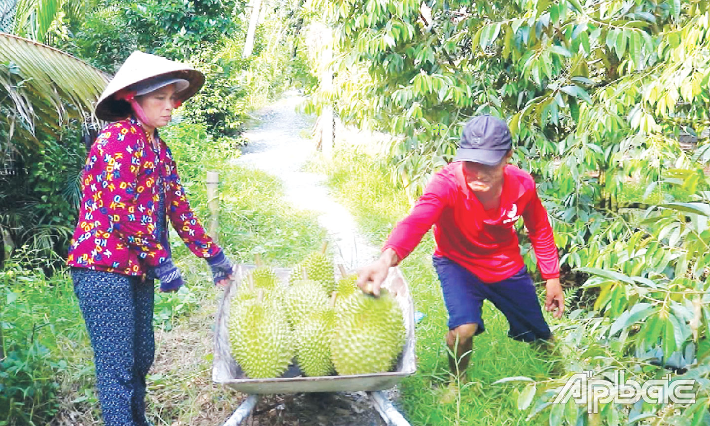 Xã Bình Trưng hướng tới xã nông thôn mới nâng cao sau khi sáp nhập