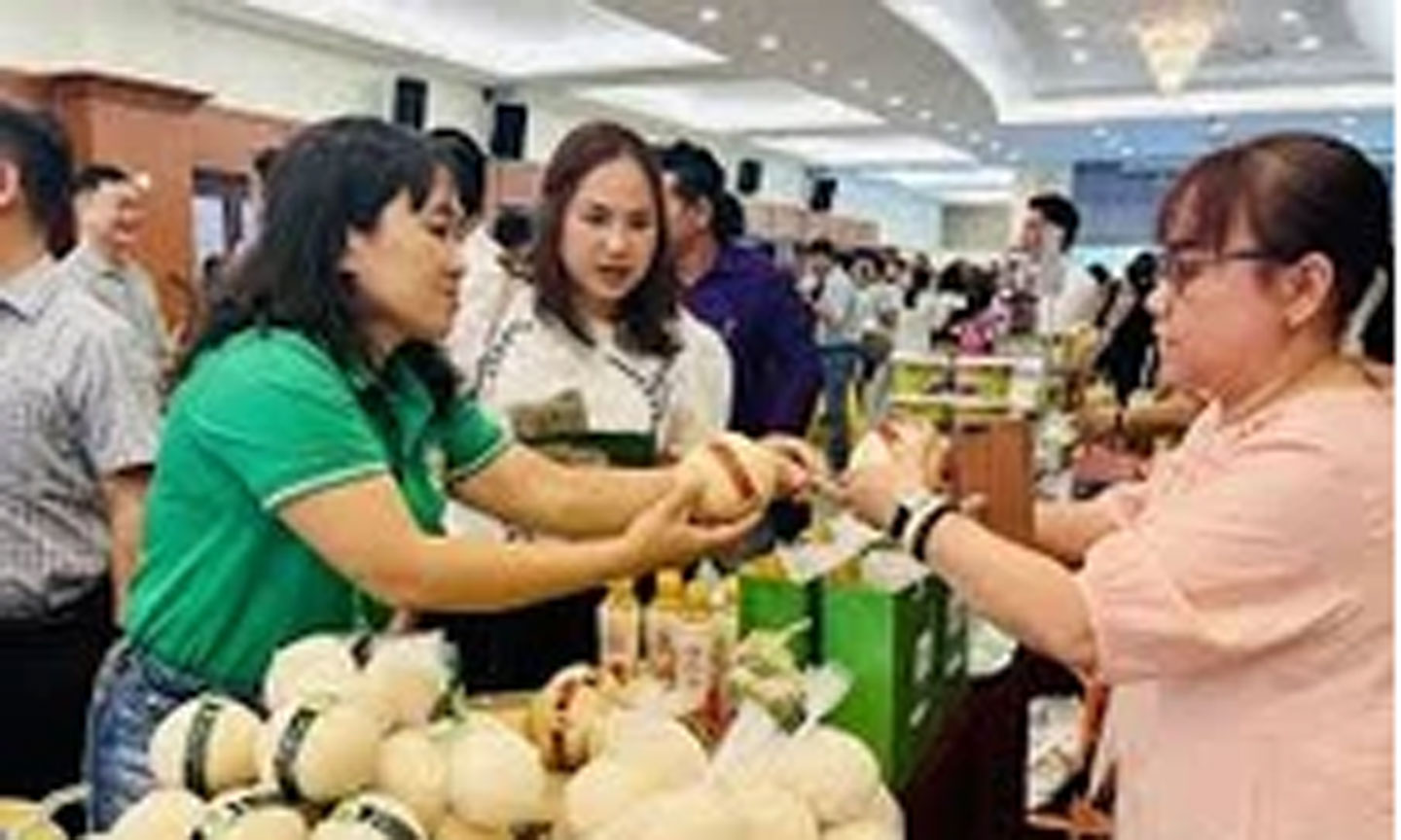 Dừa tươi 