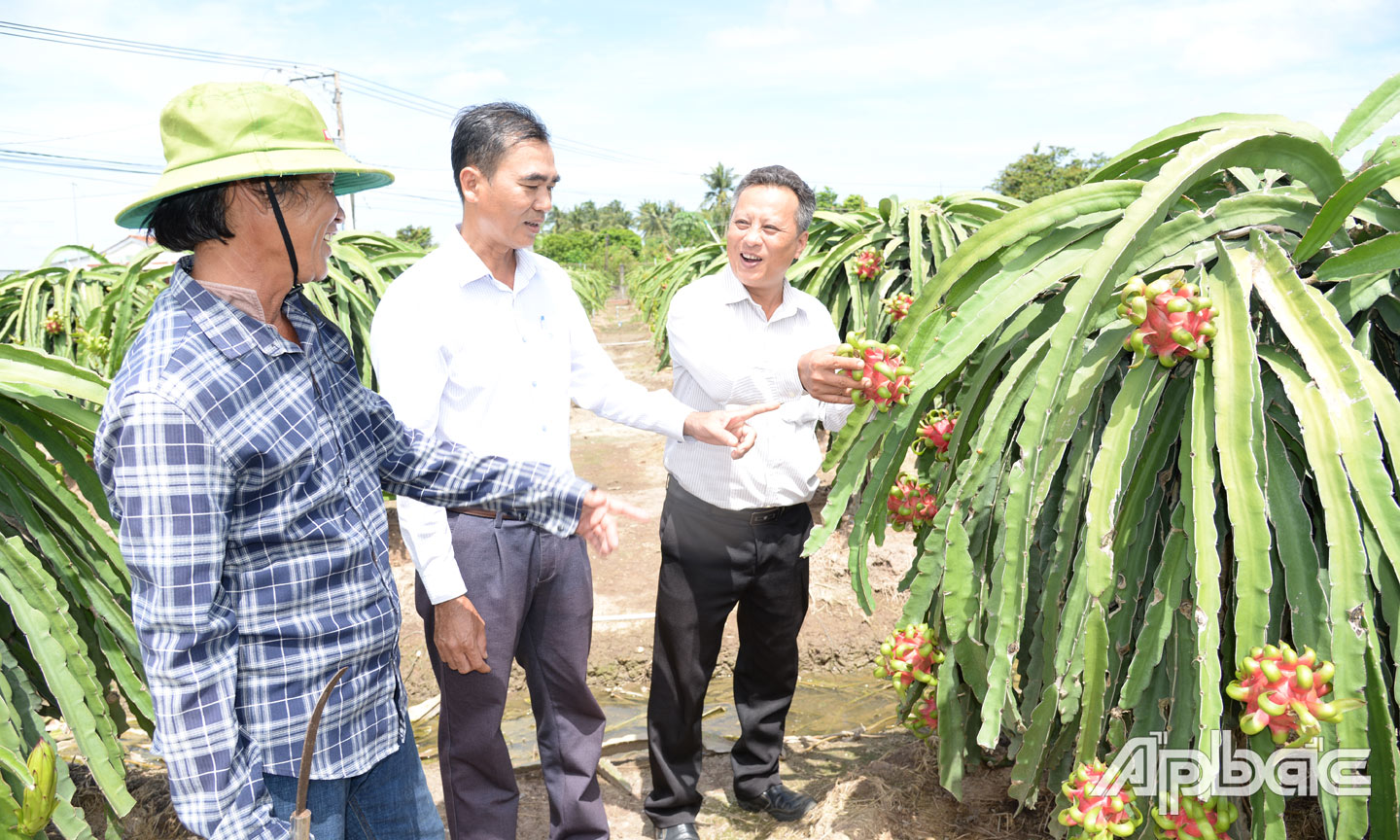 Sản xuất cây ăn trái còn gặp nhiều thách thức, khó khăn.