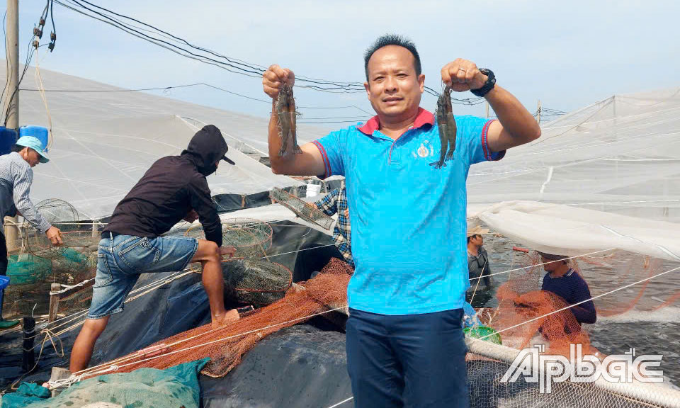 Nuôi tôm công nghệ cao cho hiệu quả, an toàn lợi nhuận cao hơn nhiều lần so với sản xuất truyền thống.