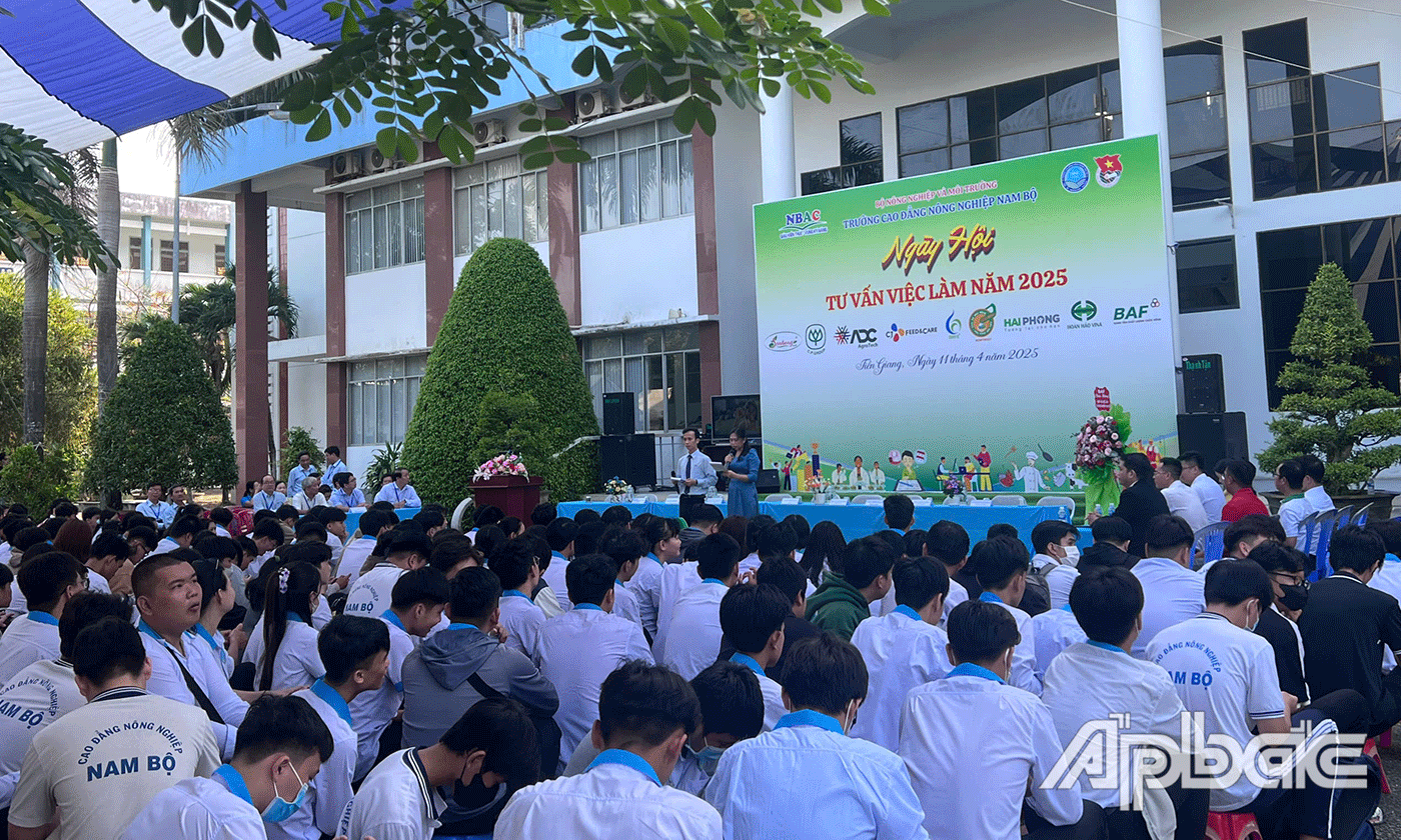 Quang cảnh Ngày hội.