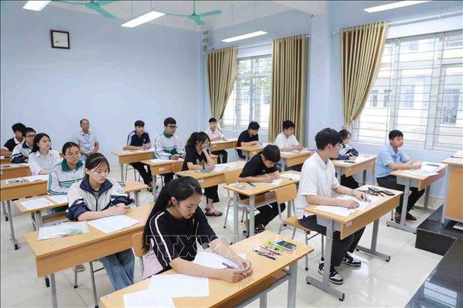 Ảnh minh họa: Quý Trung/TTXVN