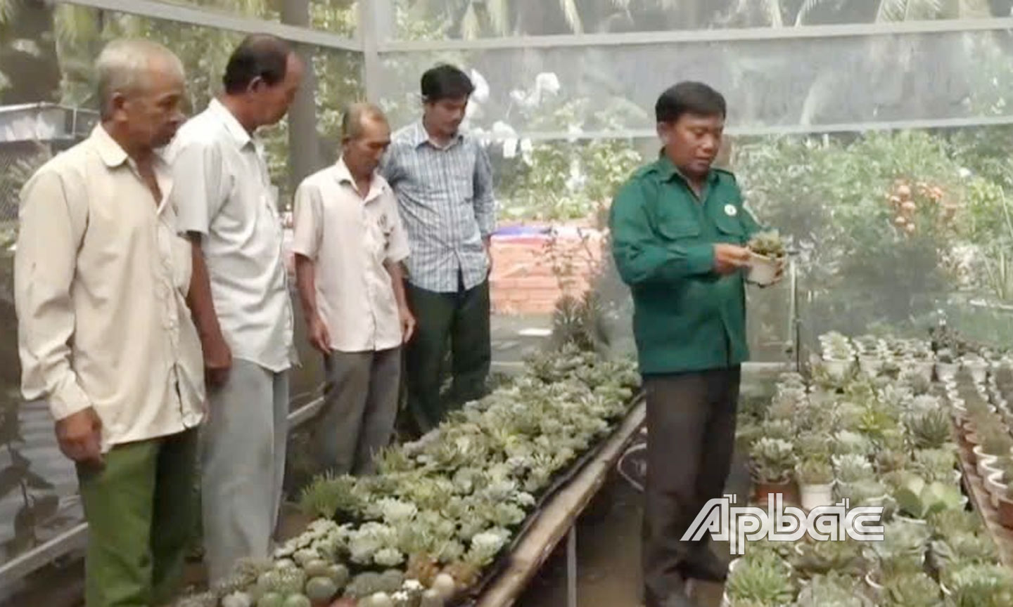 Ông Trần Văn Vũ cùng hội viên CCB xã Thạnh Nhựt tham qua vườn cây sen đá. 