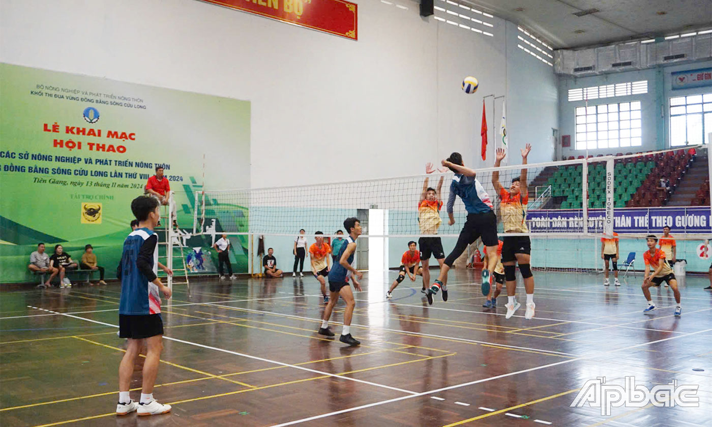 Các đội tham gia tranh tài 