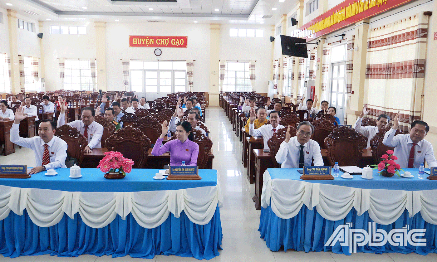 Đại biểu biểu quyết.