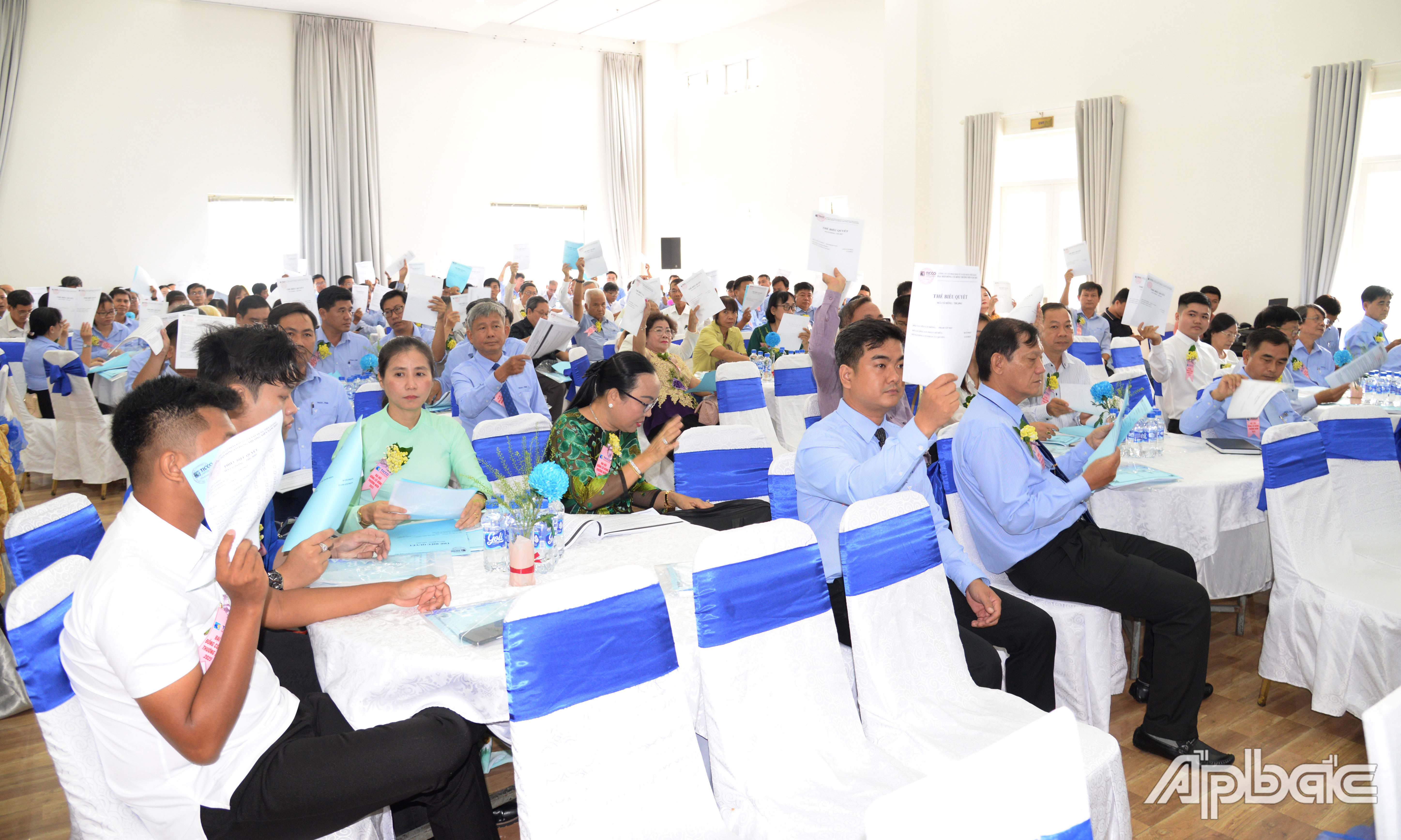 Các cổ đông biểu quyết.