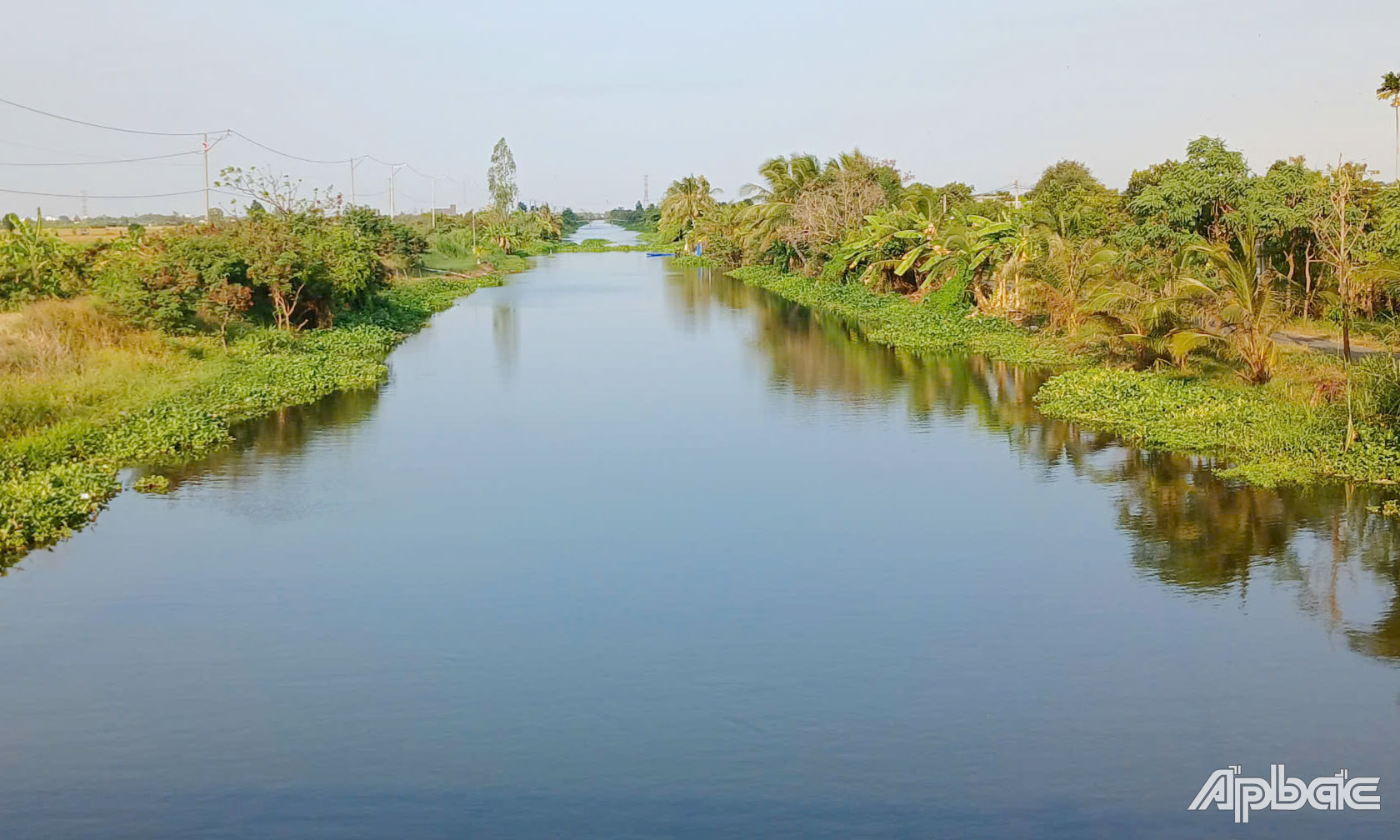 Vùng Ngọt hoá Gò Công đang tập trung xổ xả phèn, mặn cải thiện chất lượng nguồn nước.