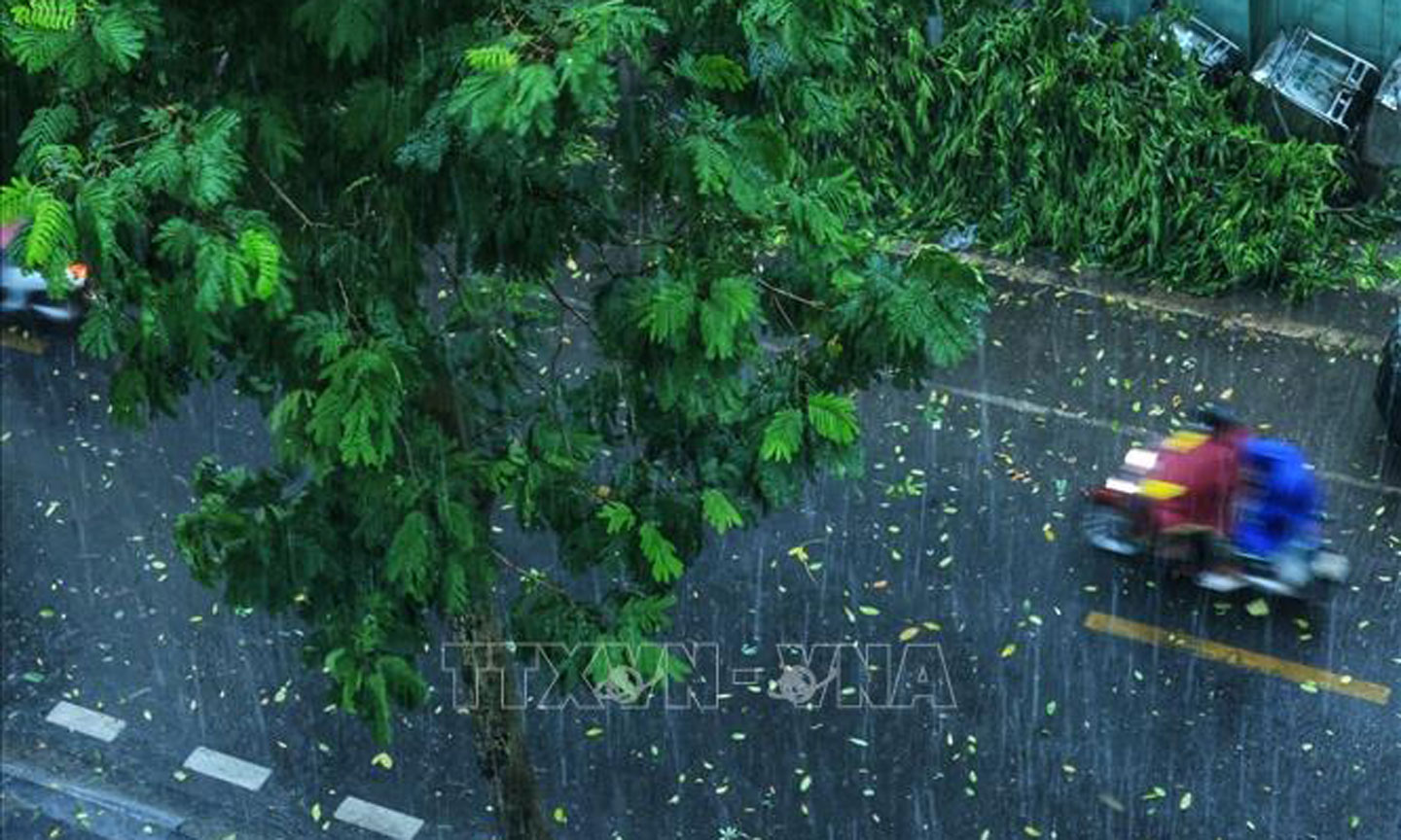 Ảnh minh họa: Tuấn Anh/TTXVN