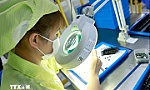 Báo Thụy Sĩ đánh giá tiềm năng phát triển kinh tế của Việt Nam