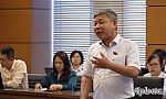 Đoàn Đại biểu Quốc hội tỉnh Tiền Giang góp nhiều ý kiến cho các dự án luật và sửa đổi Hiến pháp