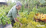 Chuyện ở một Chi hội Cựu chiến binh tiêu biểu