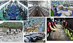 Tổng Bí thư Tô Lâm và tư duy lý luận mới về kinh tế tư nhân