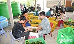 Tiền Giang: Đẩy mạnh hỗ trợ các hợp tác xã nông nghiệp phát triển sản xuất, kinh doanh