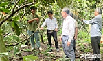 Dấu ấn cựu chiến binh trong xây dựng nông thôn mới