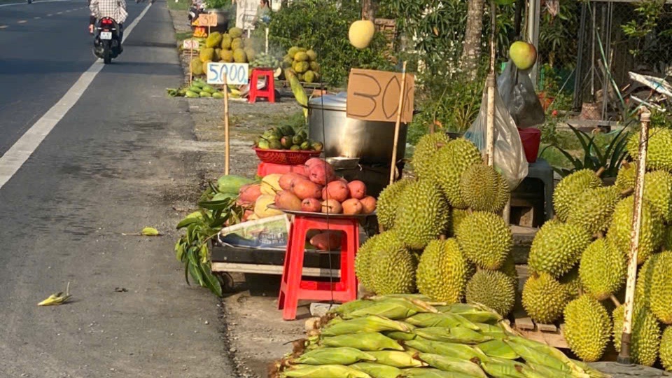 Nhà vườn miền Tây đổ xô bán sầu riêng ở ven đường