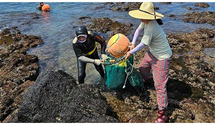 Gene đặc biệt giúp hải nữ Jeju lặn sâu 10 m