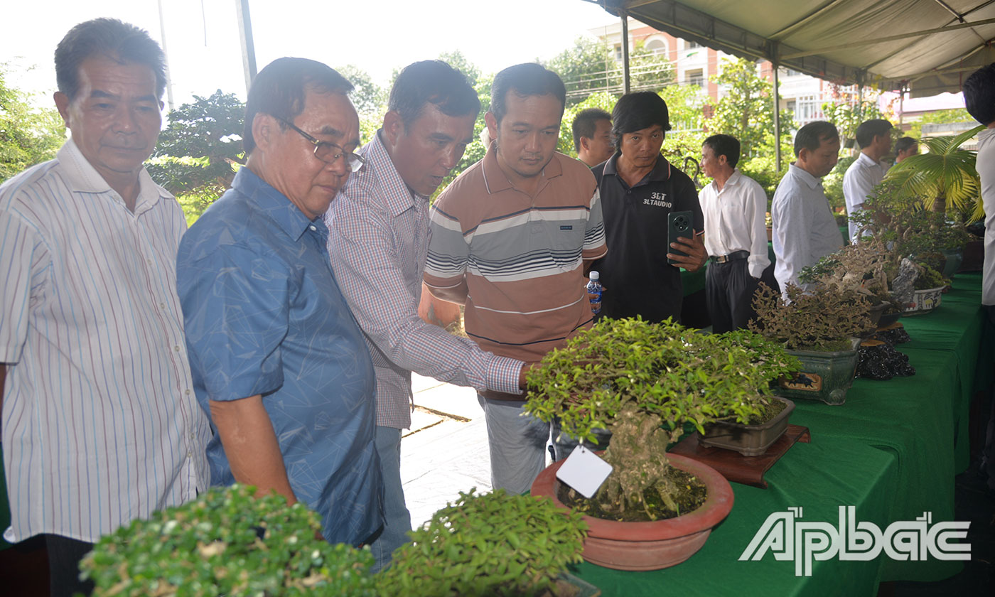 Trên 150 tác phẩm kiểng Bonsai tham gia giao lưu.