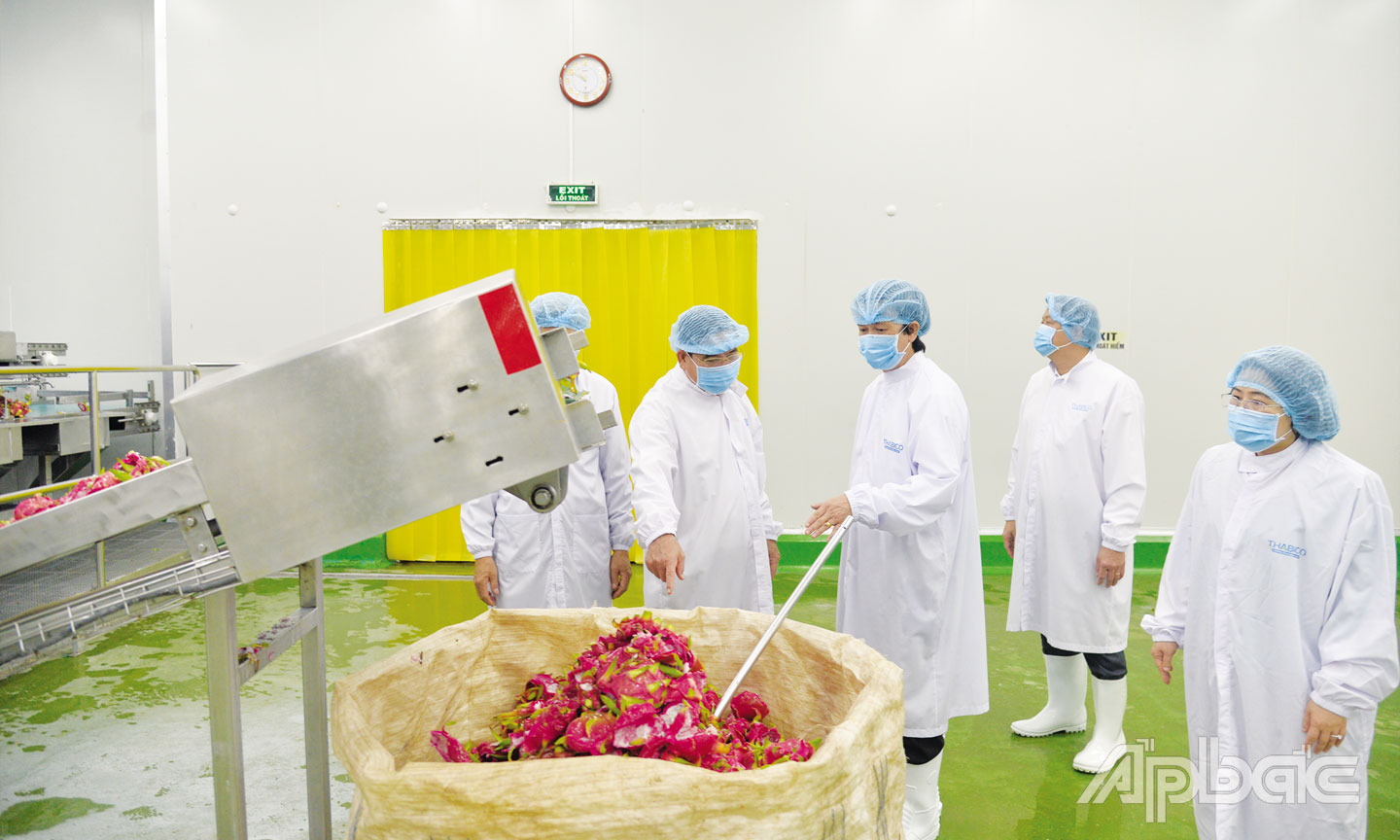 Đồng chí Nguyễn Văn Danh tham quan quy trình sản xuất, chế biến trái cây tại Công ty cổ phần Công nghiệp thực phẩm Thabico Tiền Giang. Ảnh: VĂN THẢO