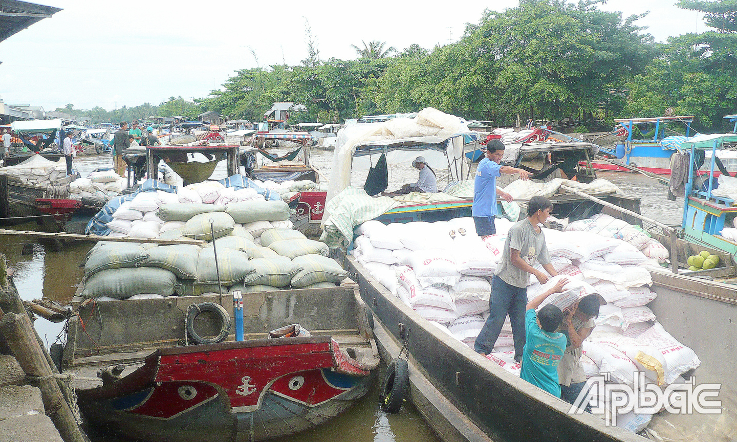 Thu mua lúa gạo ở khu vực Bà Đắc, huyện Cái Bè.