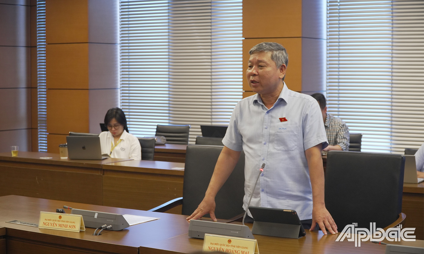 Đại biểu Nguyễn Hoàng Mai phát biểu ý kiến thảo luận tại tổ
