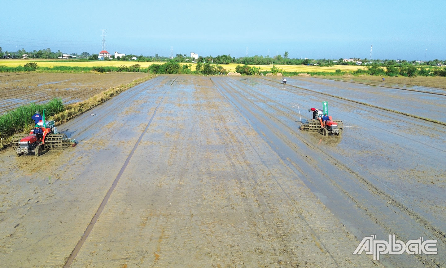 Công ty TNHH MTV Tư Sang  nghiên cứu sản xuất thành công  máy gieo sạ kết hợp vùi phân bón  tham gia Đề án 1 triệu ha.