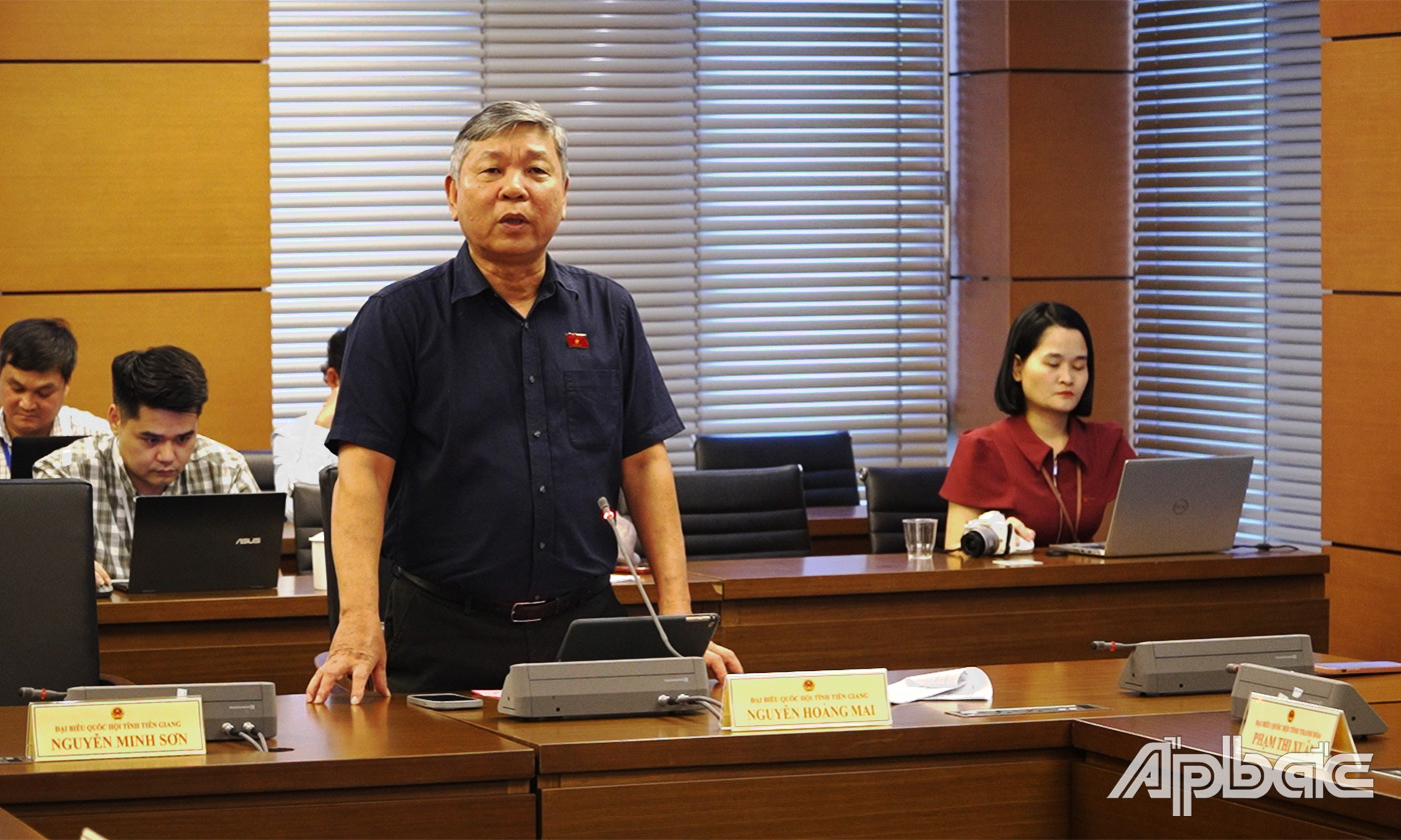 Đại biểu Nguyễn Hoàng Mai phát biểu ý kiến thảo luận tại tổ