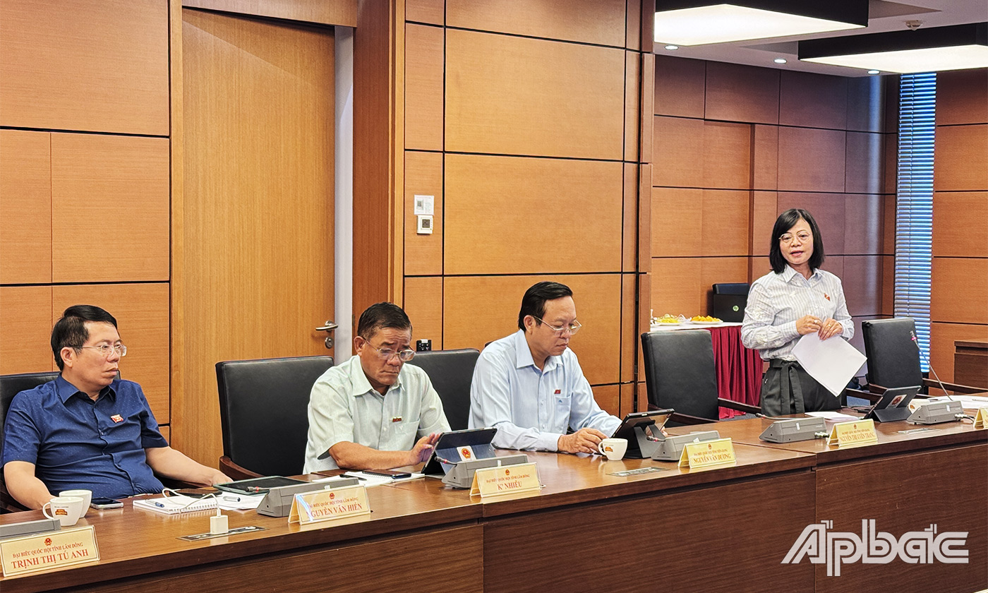 Đại biểu Nguyễn Thanh Cầm phát biểu thảo luận tại tổ