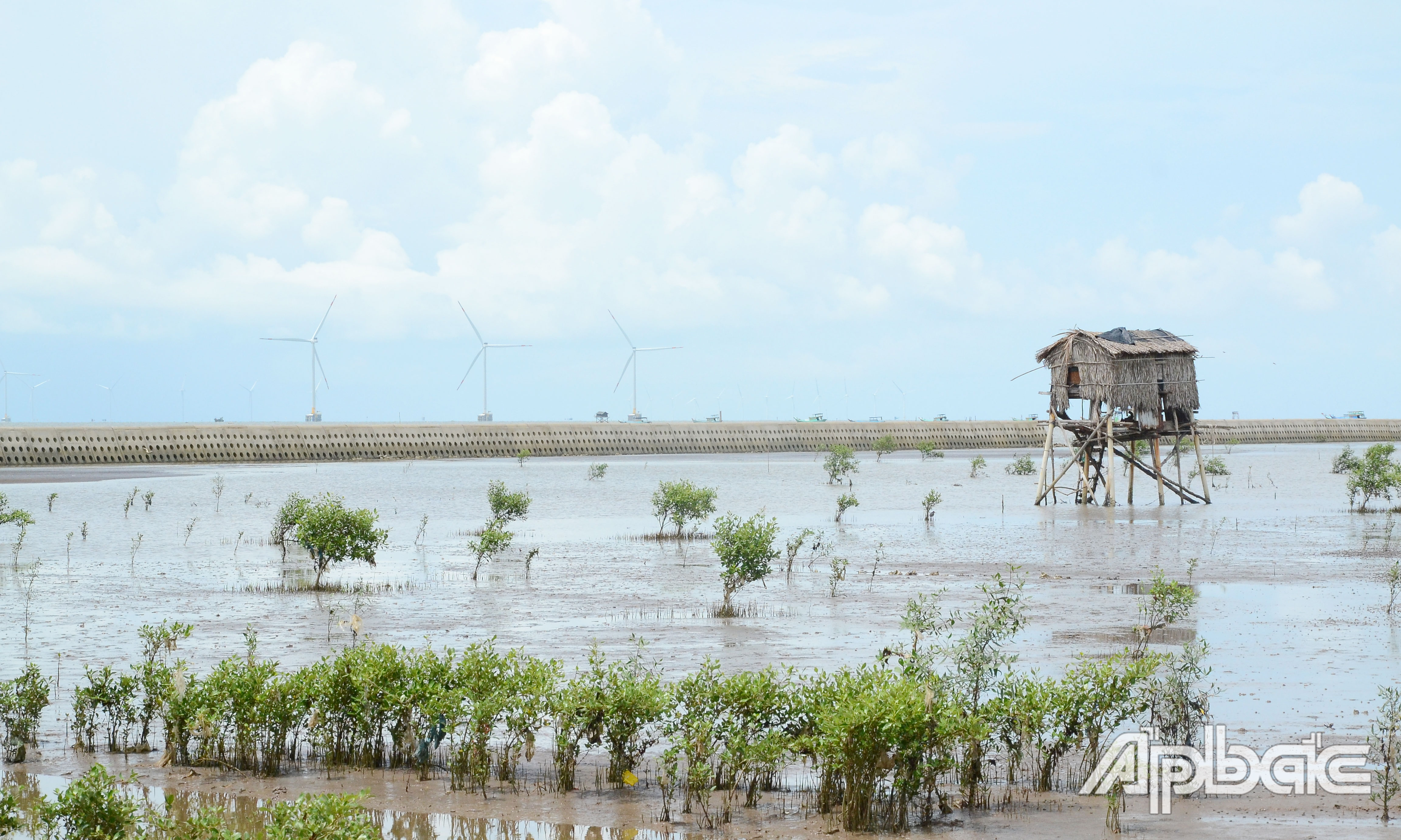 Kè giảm sóng, gây bồi tạo bãi đê biển Gò Công do Ban Quản lý dự án đầu tư xây dựng công trình nông nghiệp và phát triển nông thôn tỉnh Tiền Giang làm chủ đầu tư phát huy hiệu quả trong phòng, chống xói lở đê biển.