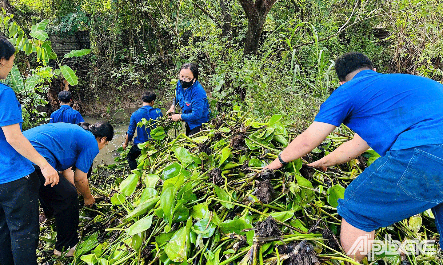Tại TP. Tho, Đoàn Thanh niên - Hội LHTN Việt Nam tỉnh Tiền Giang phối hợp cùng Phòng Nông nghiệp và Môi trường TP. Mỹ Tho tổ chức hoạt động ngày Chủ nhật xanh lần II năm 2025 tại tuyến kênh N7, ấp Tân Tỉnh B, xã Tân Mỹ Chánh, TP. Mỹ Tho, tỉnh Tiền Giang với 46 cán bộ đoàn, hội, đoàn viên, hội viên, thanh niên tham gia. Lực lượng tham gia đã thực hiện thu gom, dọn vệ sinh xung quanh tuyến đường, vớt lục bình, 