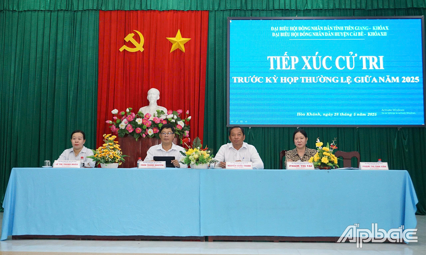 Đại biểu HĐND tỉnh, huyện nghe ý kiến cử tri phát biểu