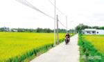 Tiền Giang: Thay 