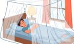 Phòng, chống sốt xuất huyết bằng 