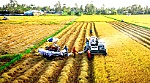Động lực tăng trưởng mới