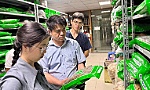 Hàng giả chủ yếu là nhóm thực phẩm chức năng, thuốc đông y và mỹ phẩm