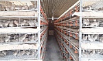 Bài 2: Nâng tầm giá trị