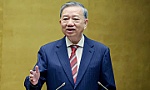 SỨC MẠNH CỦA ĐOÀN KẾT