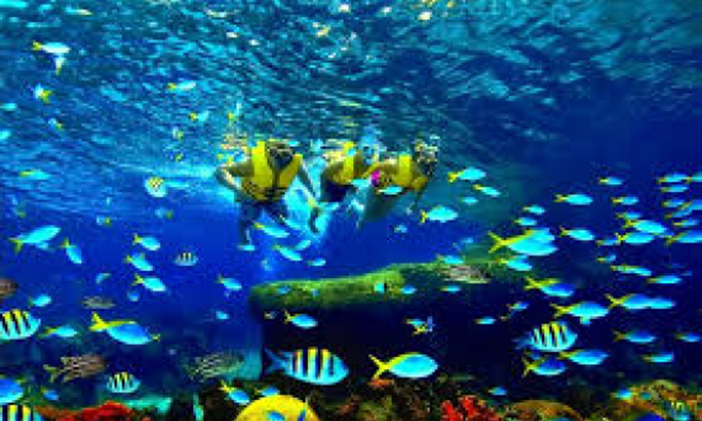 Có một đại dương trong tim người