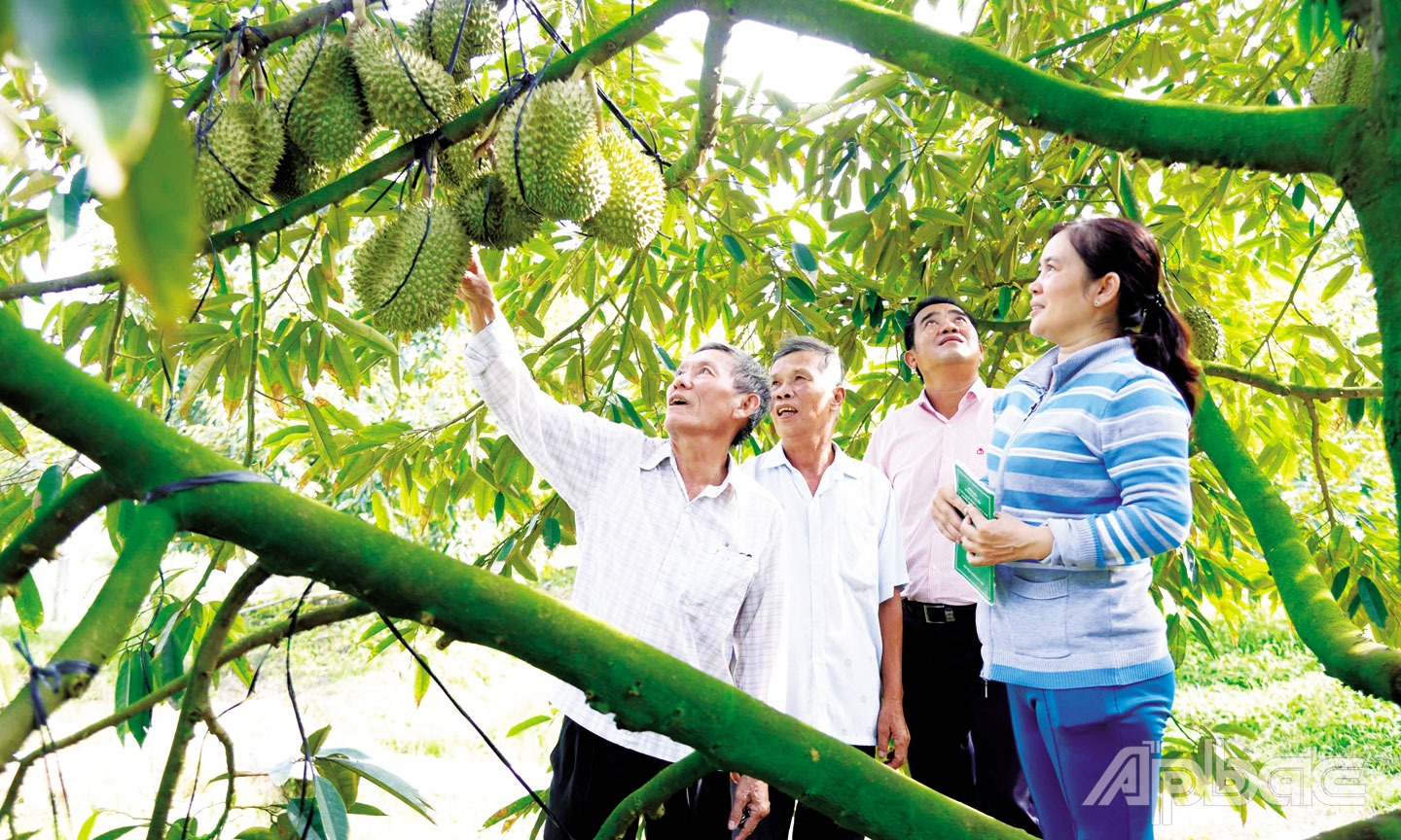 Tiền Giang sau 50 năm giải phóng: Nông nghiệp chuyển dịch mạnh mẽ